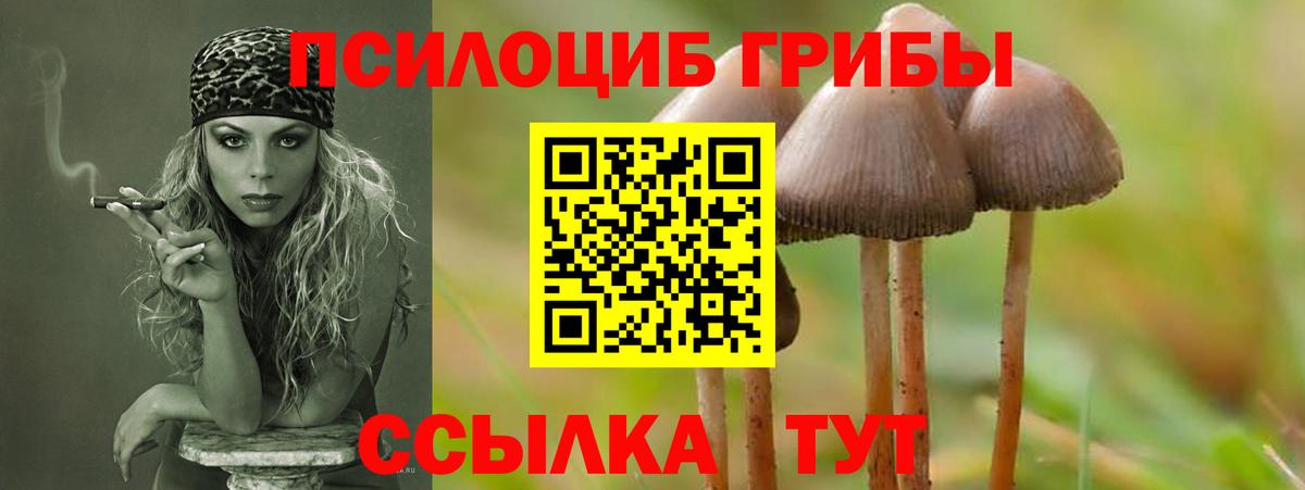 Галлюциногенные грибы Magic Shrooms  Вход с VPN  Дубна 